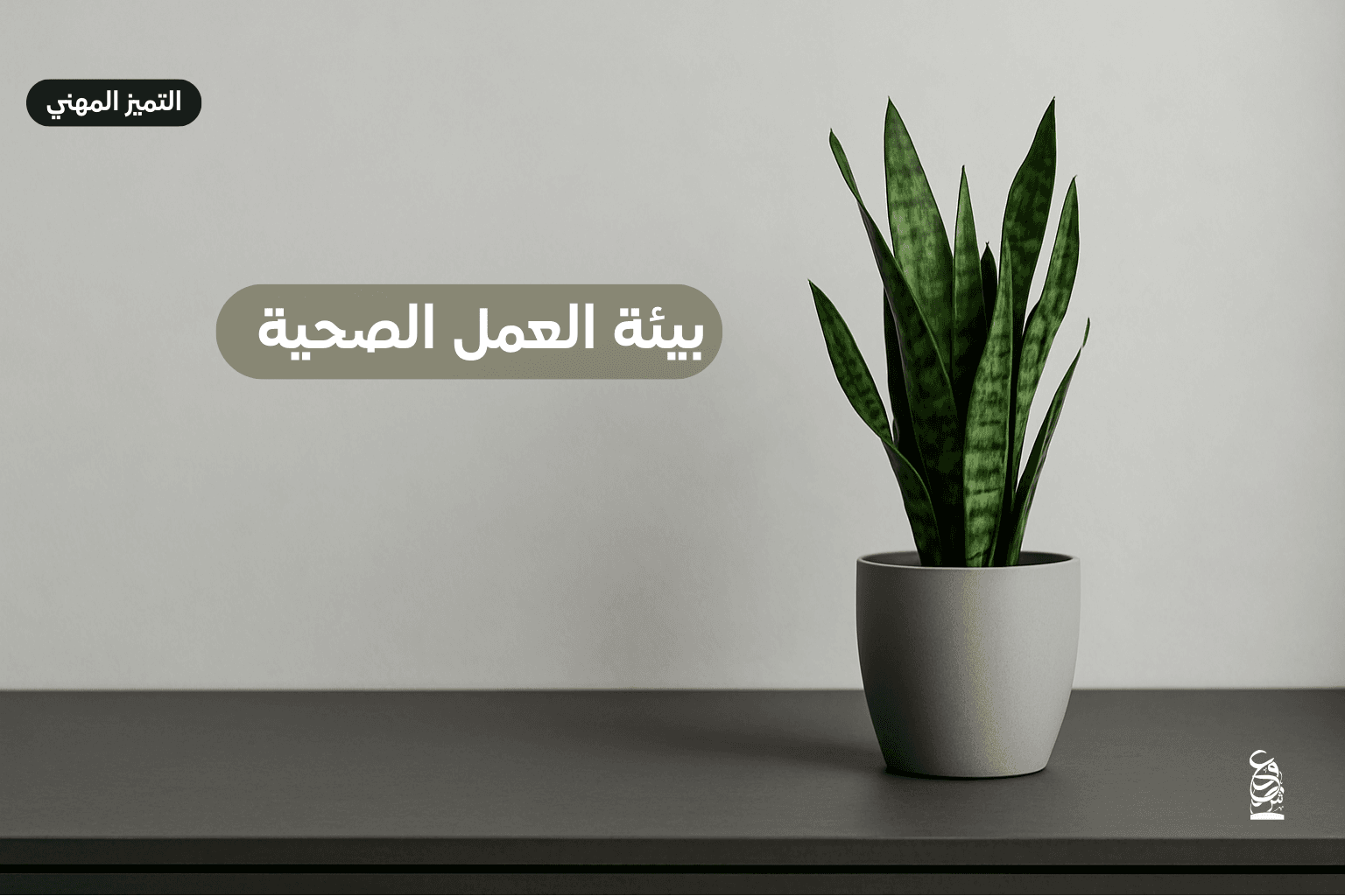 بيئة العمل الصحية 